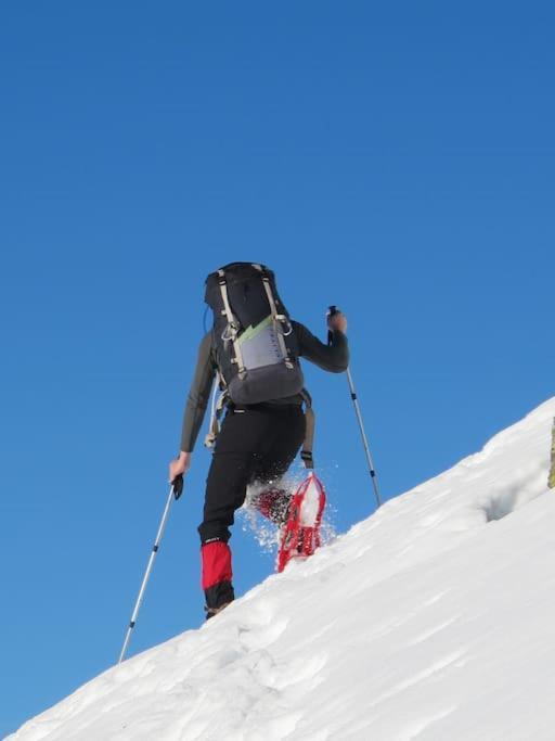"Le Desman" Confortable T2 A La Montagne Face Aux Thermes Rando, Cure Aulus-les-Bains Exterior foto